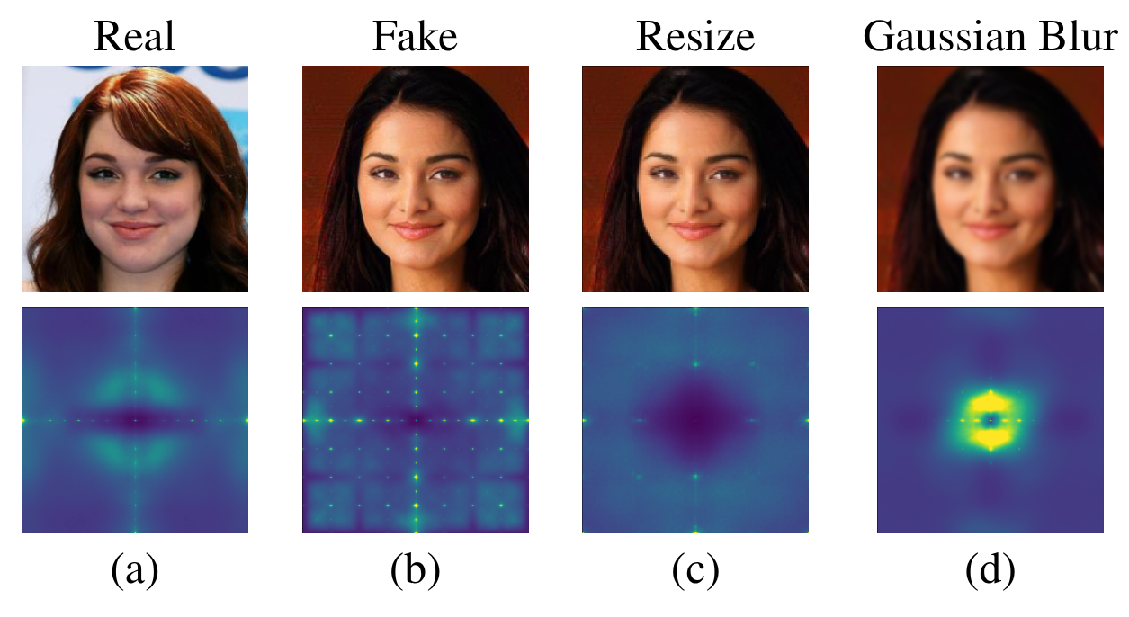 Visualization of frequency domain artifacts under varying postprocessing operations